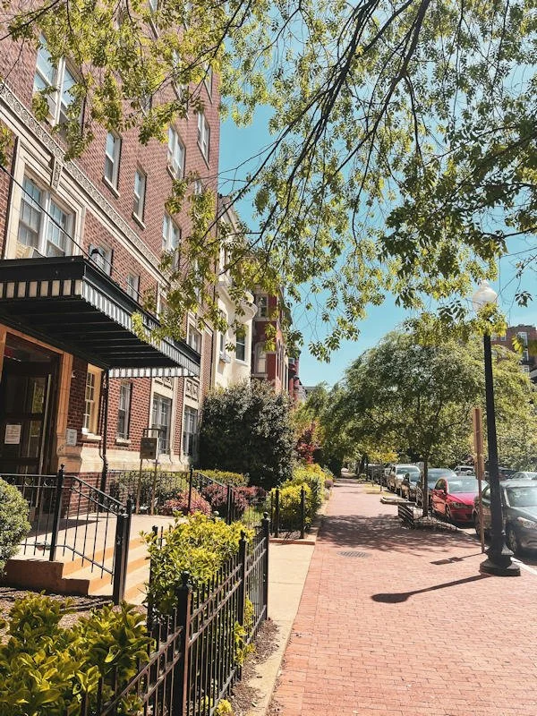 A sunny city sidewalk lined with trees, residential buildings, cars parked along the street, and street lamps.