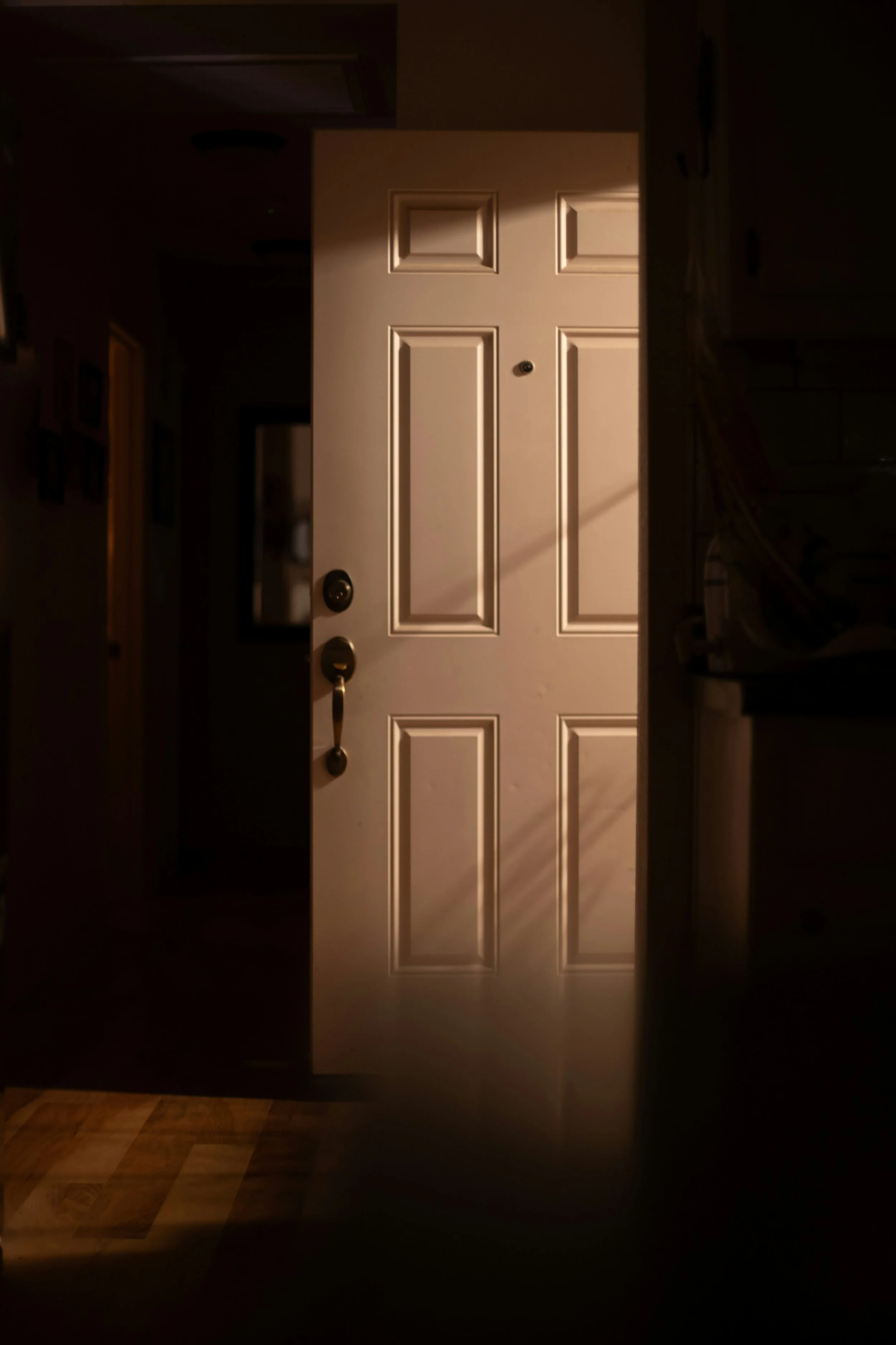 Dimly lit white paneled front door with a deadbolt and key hanging from the lock