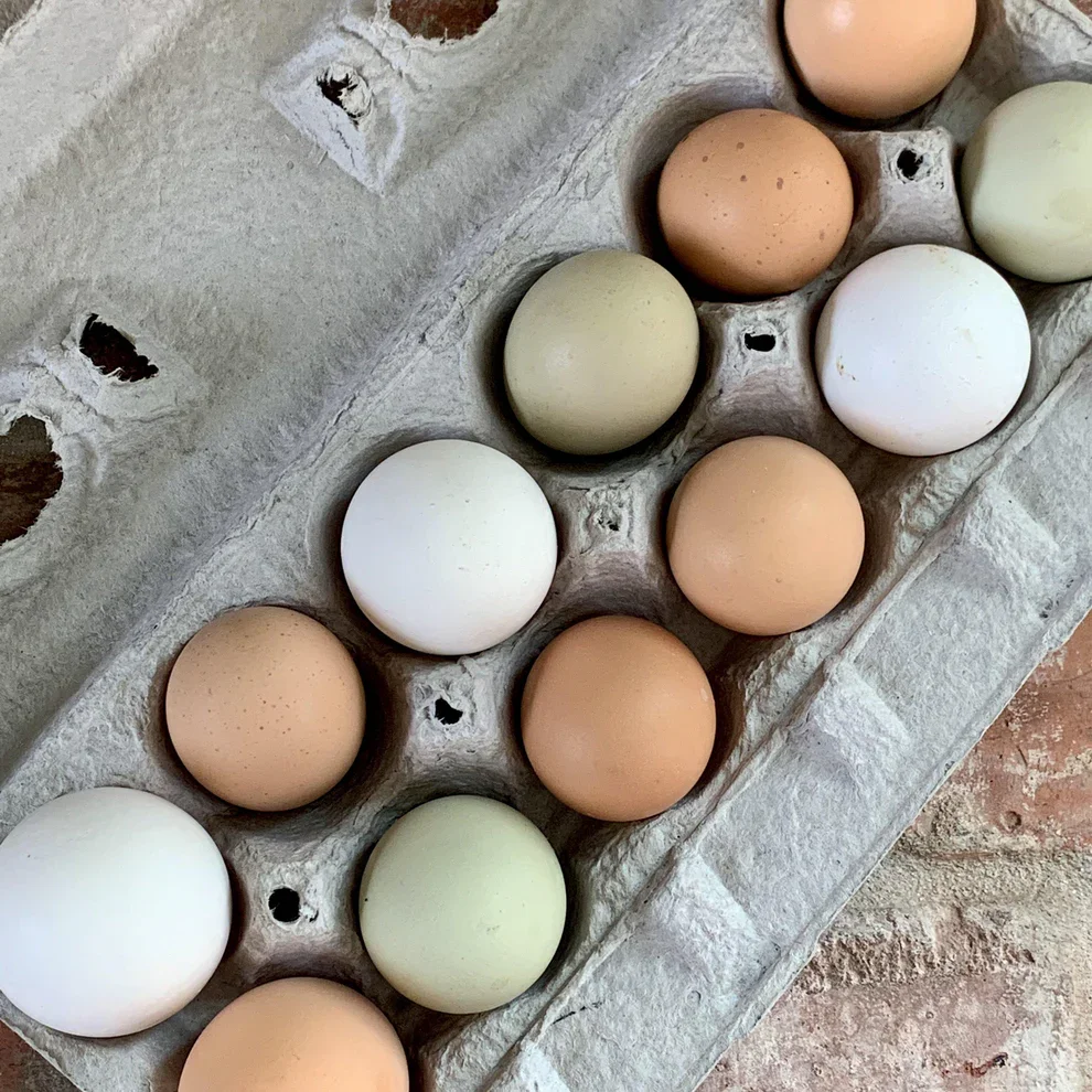Pasture Raised Eggs