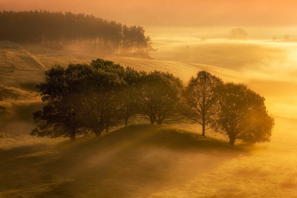 pbk_webb_Upon the hills.jpg