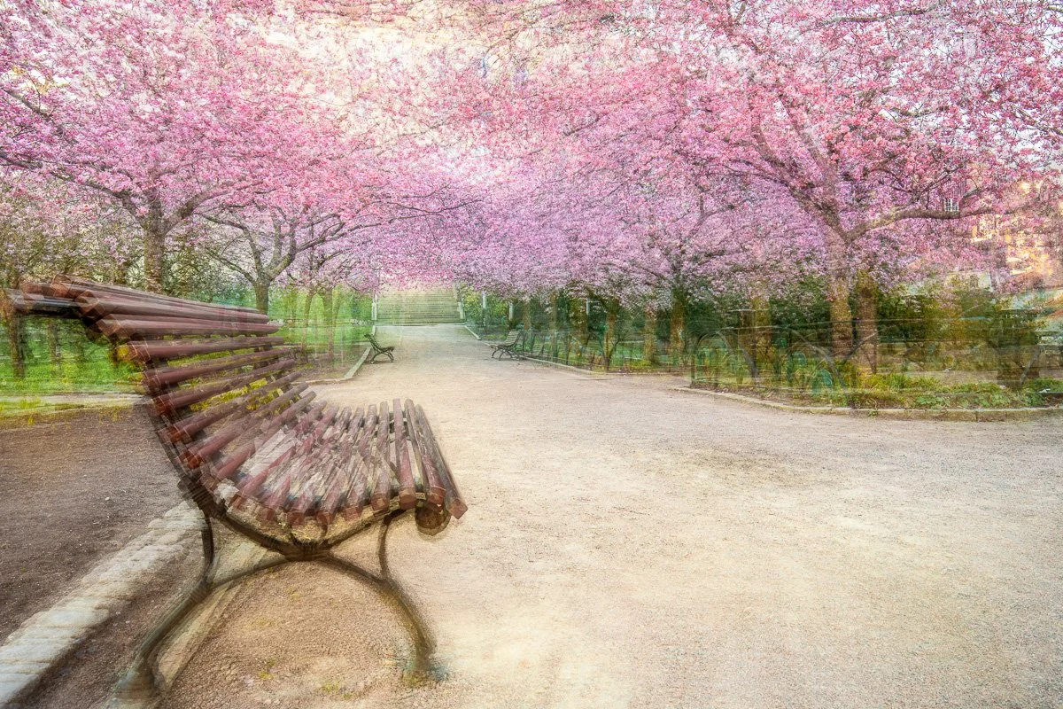 pbk_webb_Spring times_91.jpg