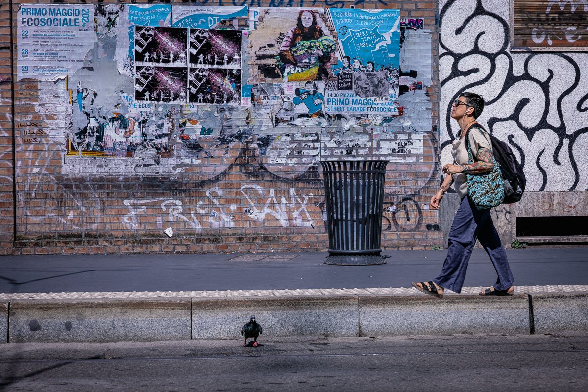 pbk_webb_Crosswalk Rebel.jpg
