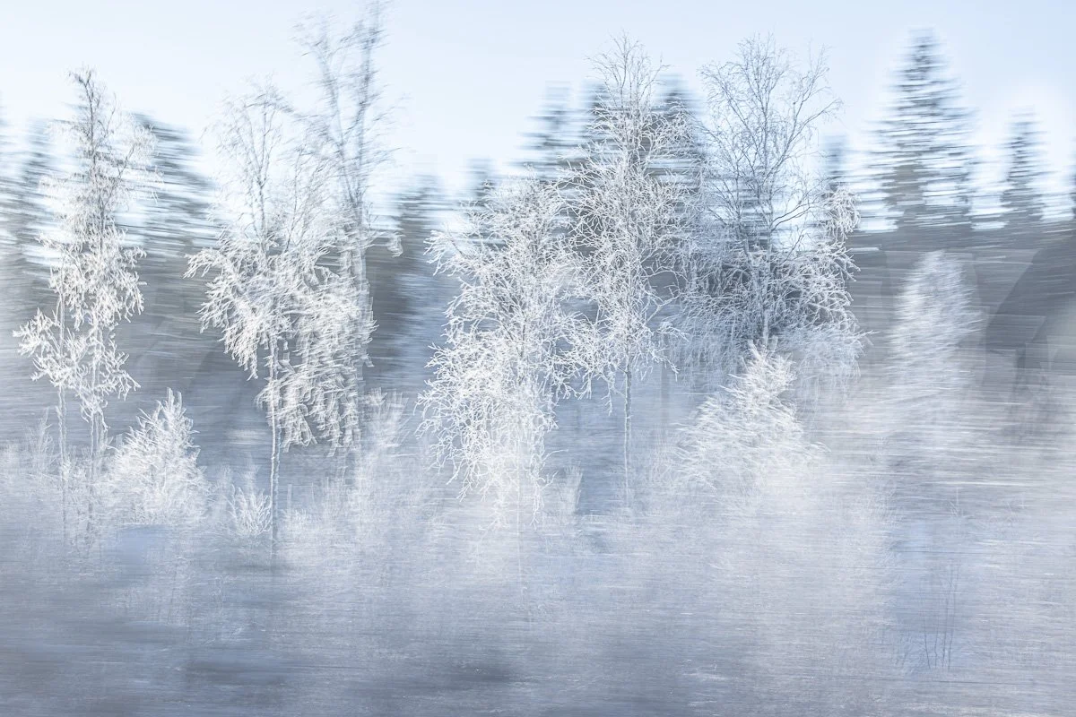 pbk_webb_Frosty winter day.jpg