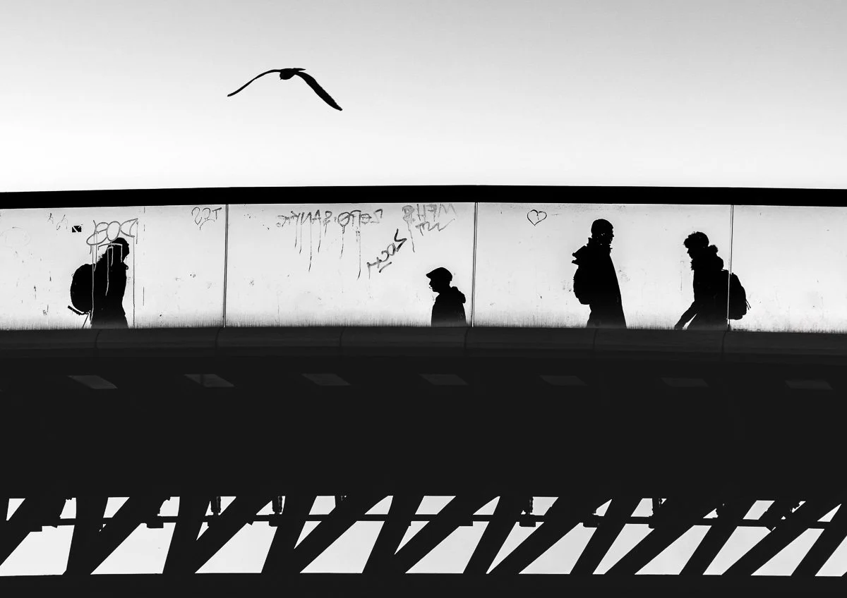 pbk_webb_Bridge in silhouette.jpg