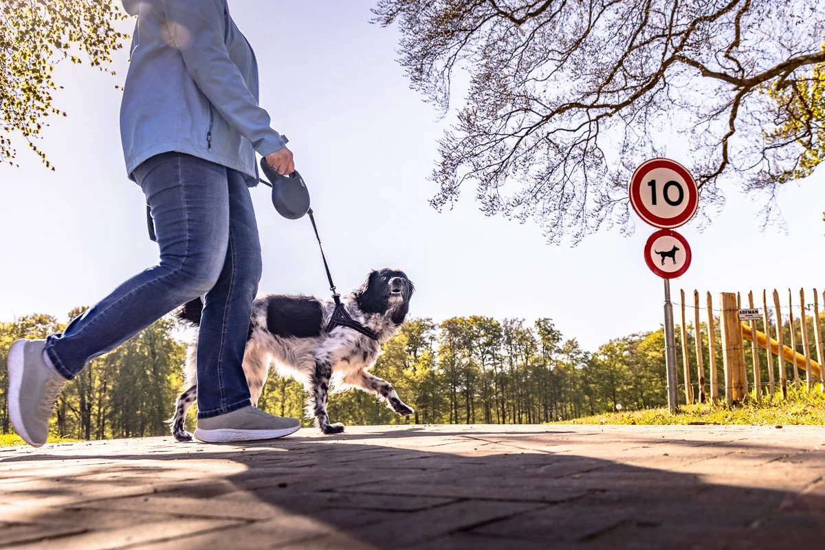 pbk_webb_Speed limit.jpg