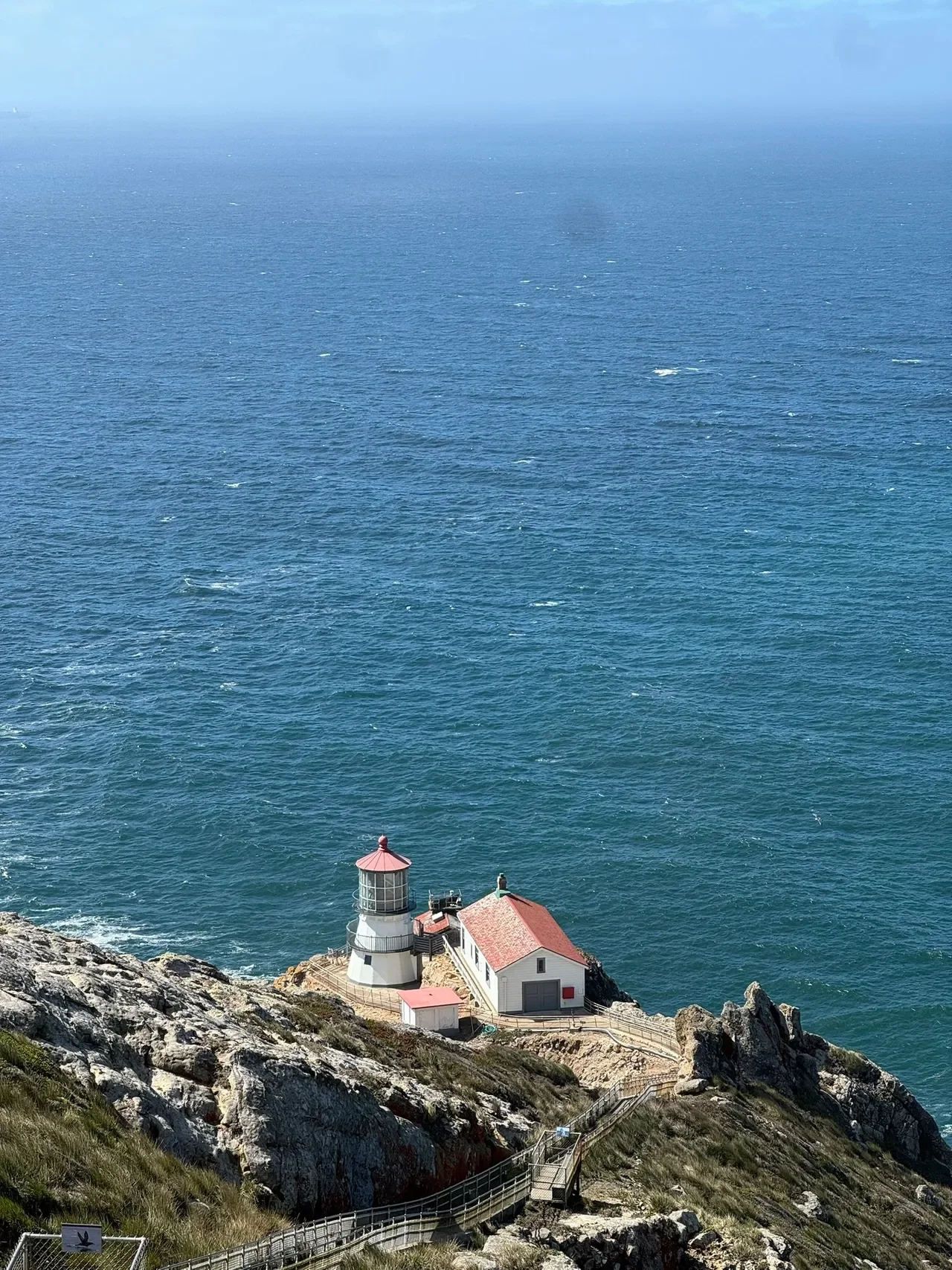 How to Spend a Day in Point Reyes: A Perfect Local Itinerary