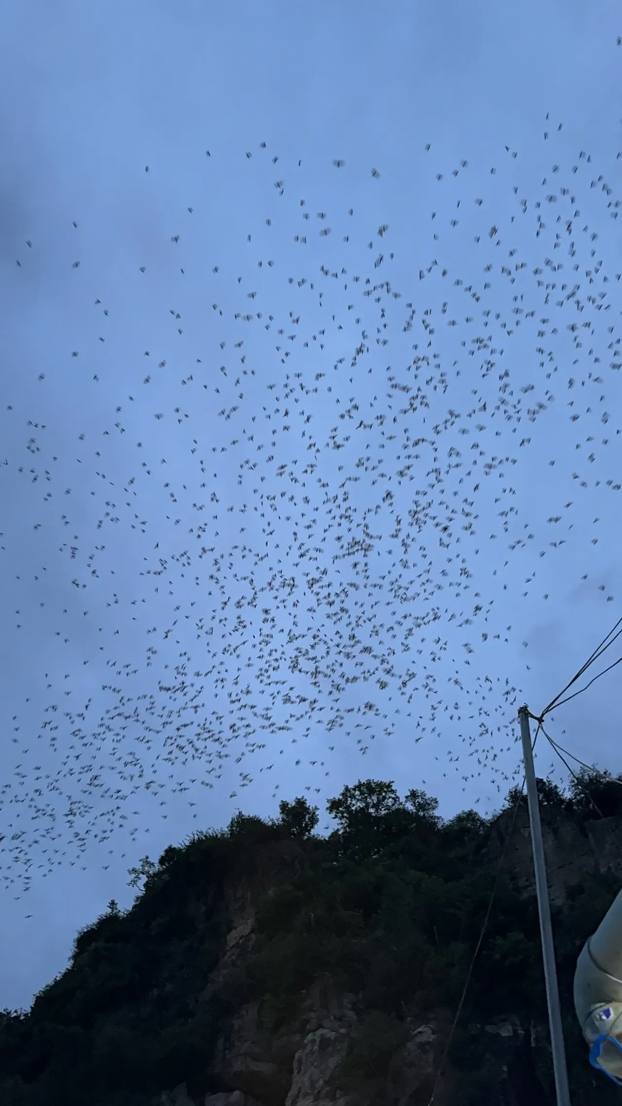 The Incredible Bat Cave in Northern Cambodia You Can’t Miss