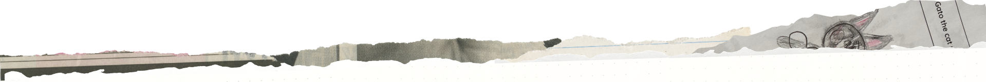A stack of torn and crumpled newspapers or paper with various text and images visible.