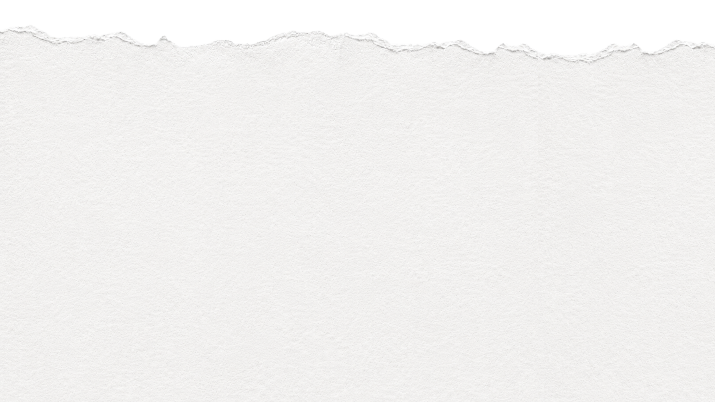 A piece of torn white paper with a rough, jagged edge at the top.