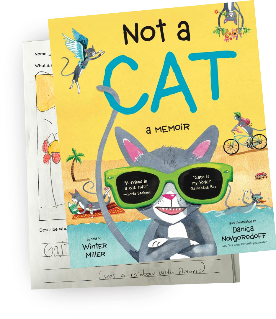 Cover of a children's book titled 'Not a Cat' featuring a cartoon cat wearing green sunglasses, with other playful cats in the background, and a bright, colorful landscape including a rainbow, palm tree, and children riding bikes.