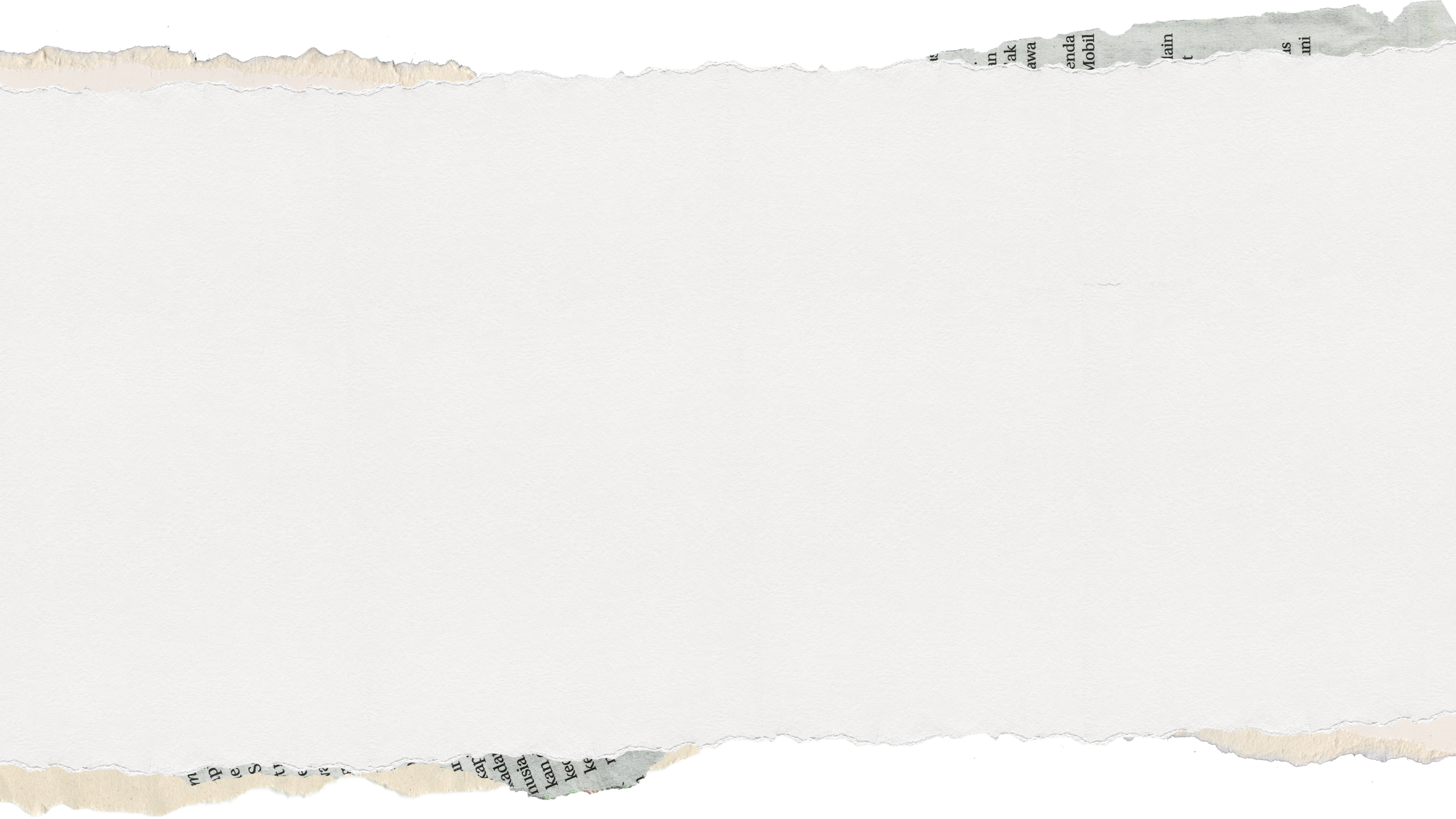 Torn pieces of paper with torn edges and some text visible on the top and bottom torn pieces.