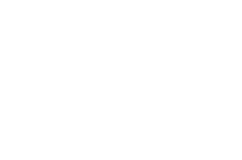 The New School logo