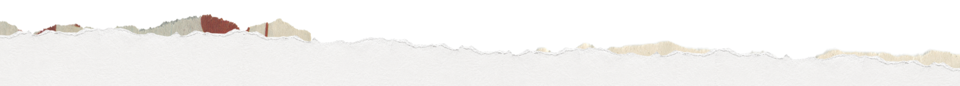 A torn piece of paper with rough edges and a textured surface.