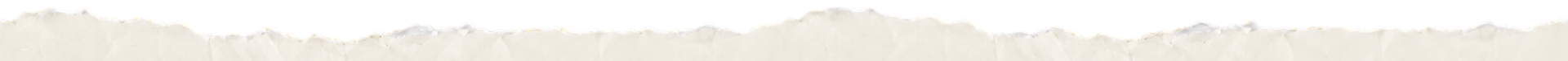 A torn piece of paper with a black border at the top and torn, uneven edges.