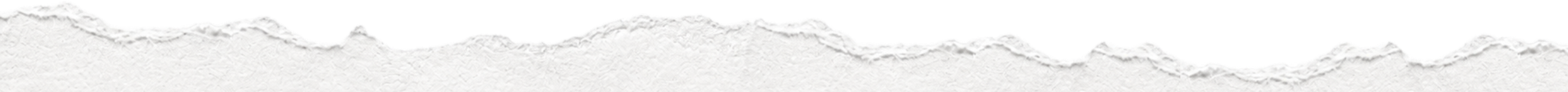 A torn piece of white paper with uneven edges and a textured surface.