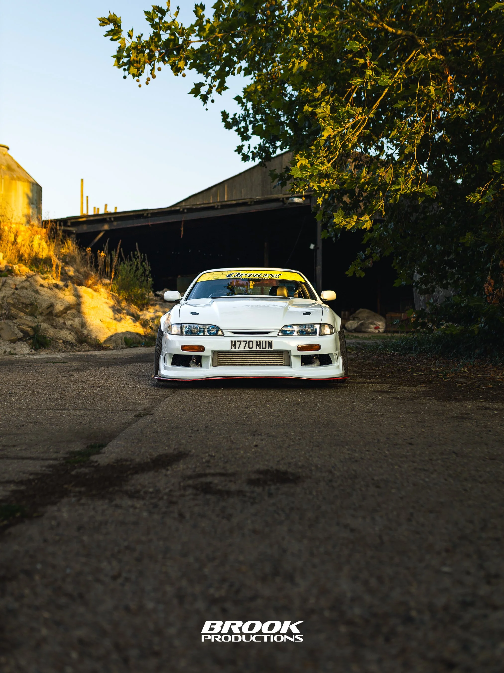 lr-web-1113.jpg