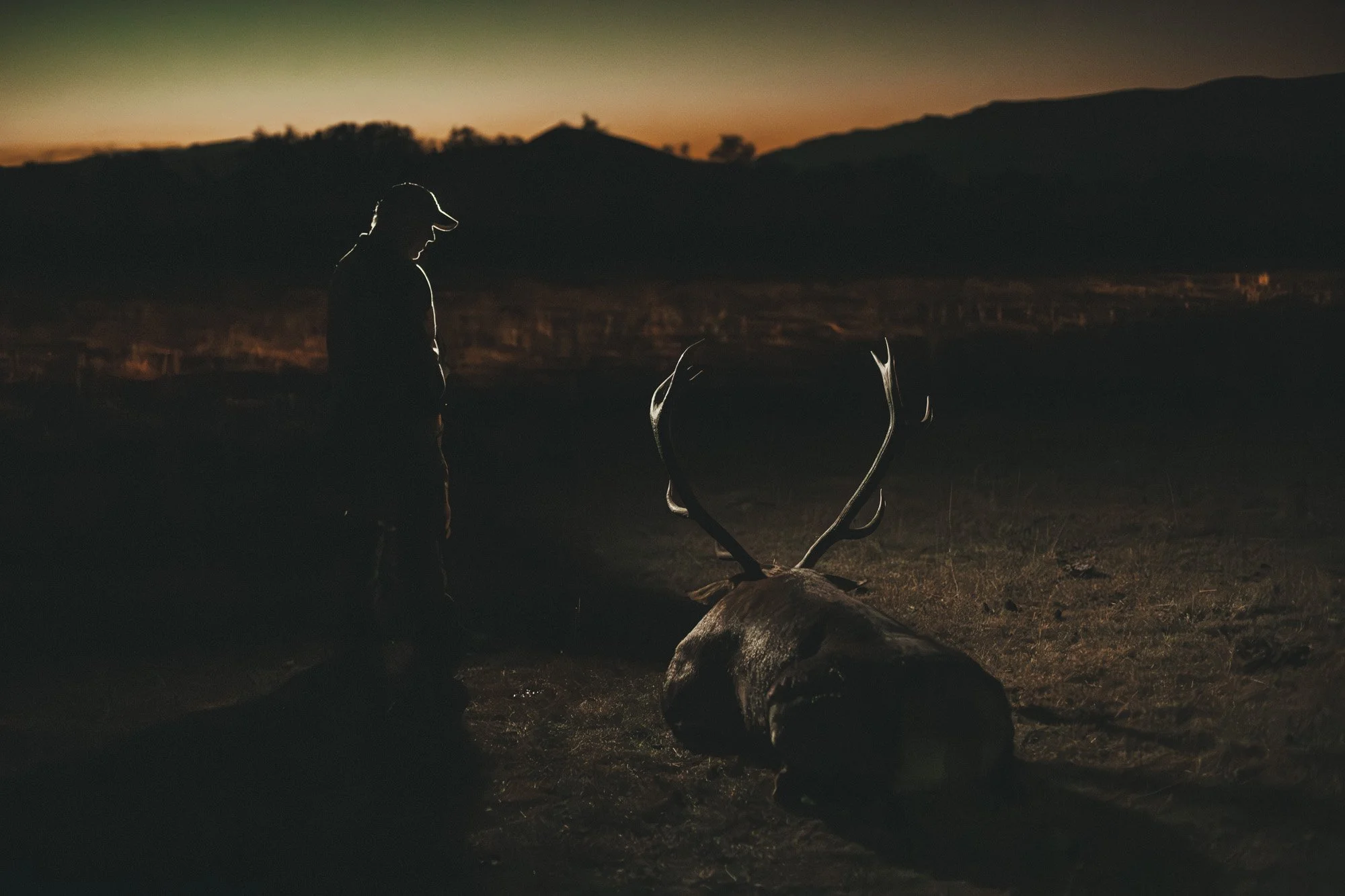 Stags