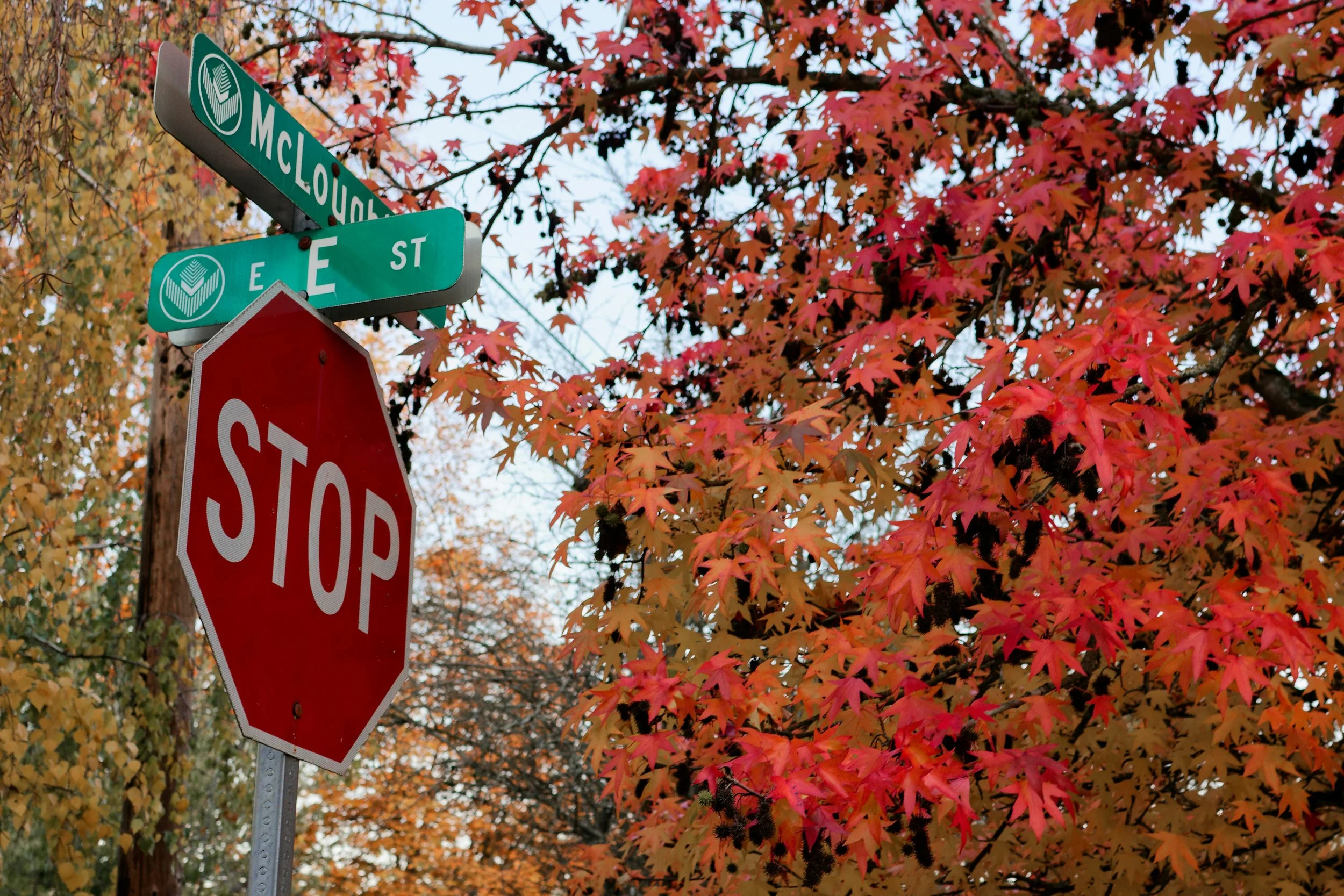 Stop Sign Vancouver Washington Photo by Stas Bezukh on Unsplash