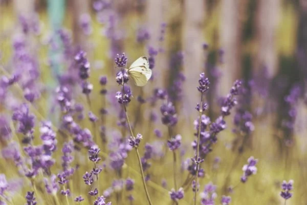 An Easy Prayer Routine for Moms: The Prayer of Examen