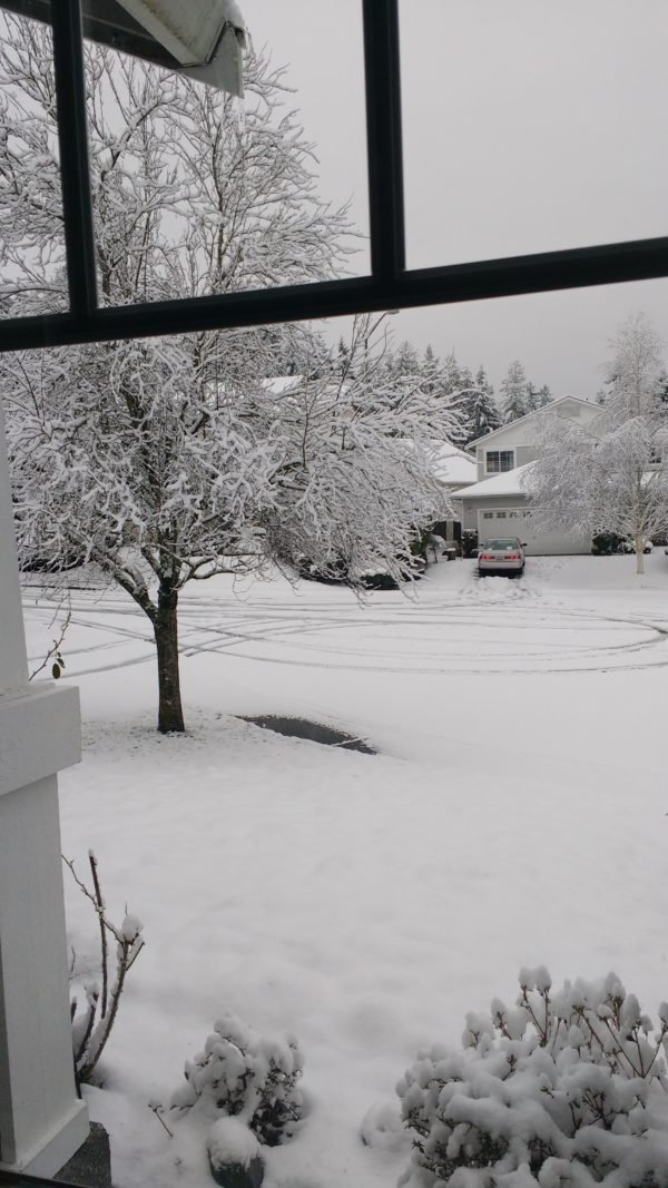 What I Learned This Winter