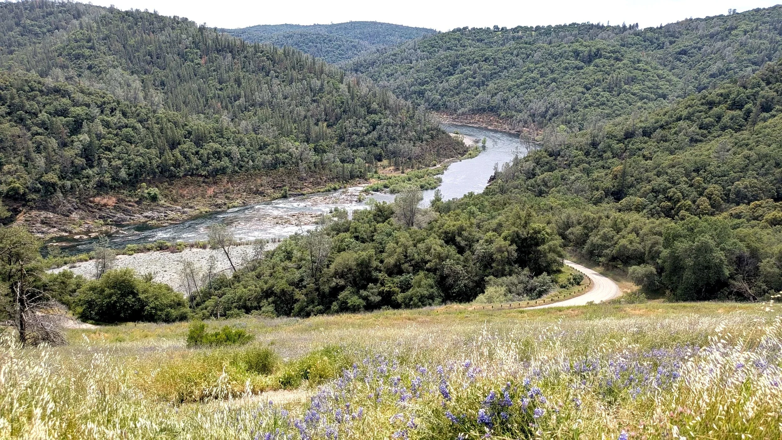 Scenic view of a river winding through a lush green forested valley with a gravel road at the bottom right.