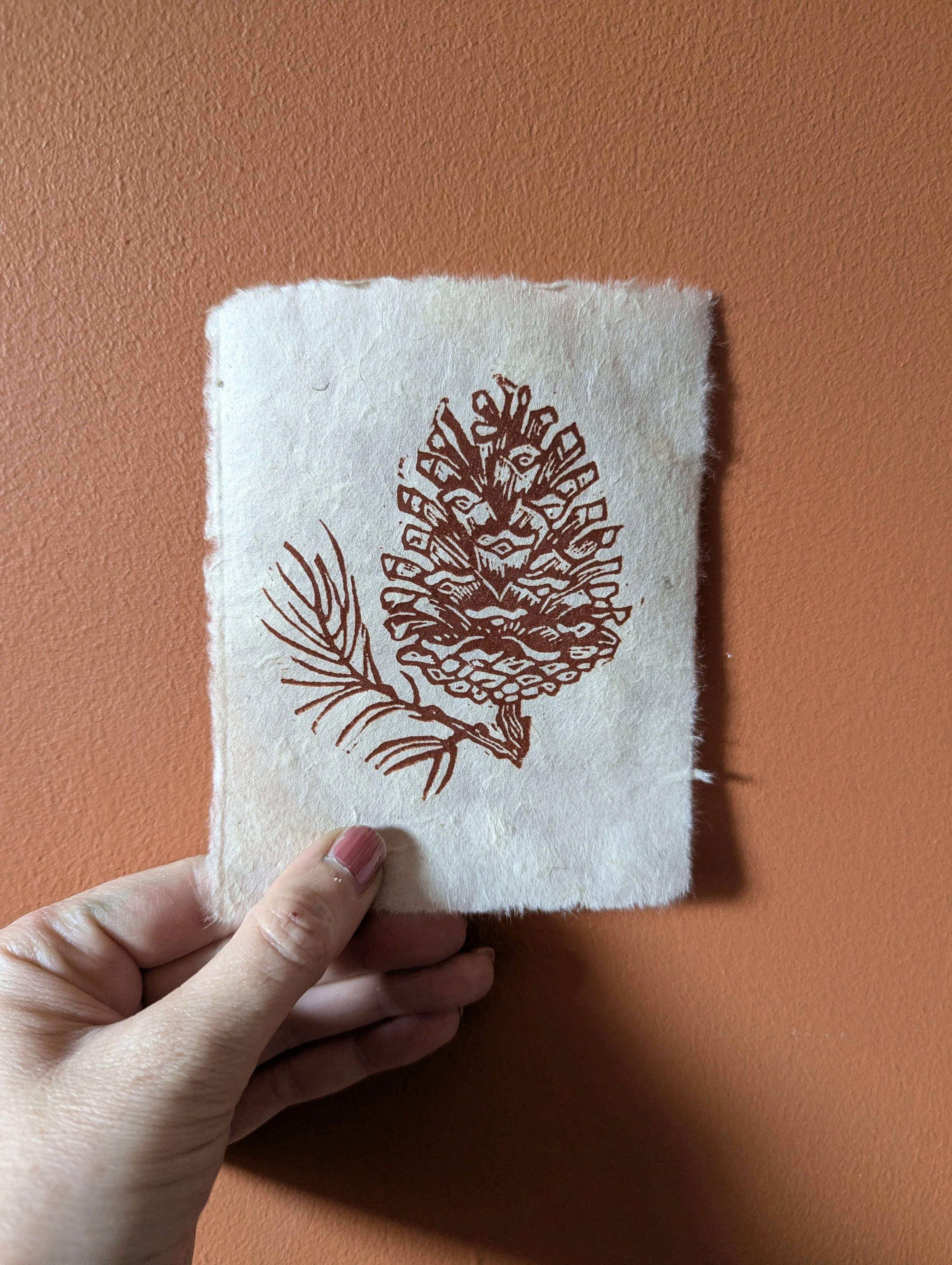 Little Pine Cone  - Brown