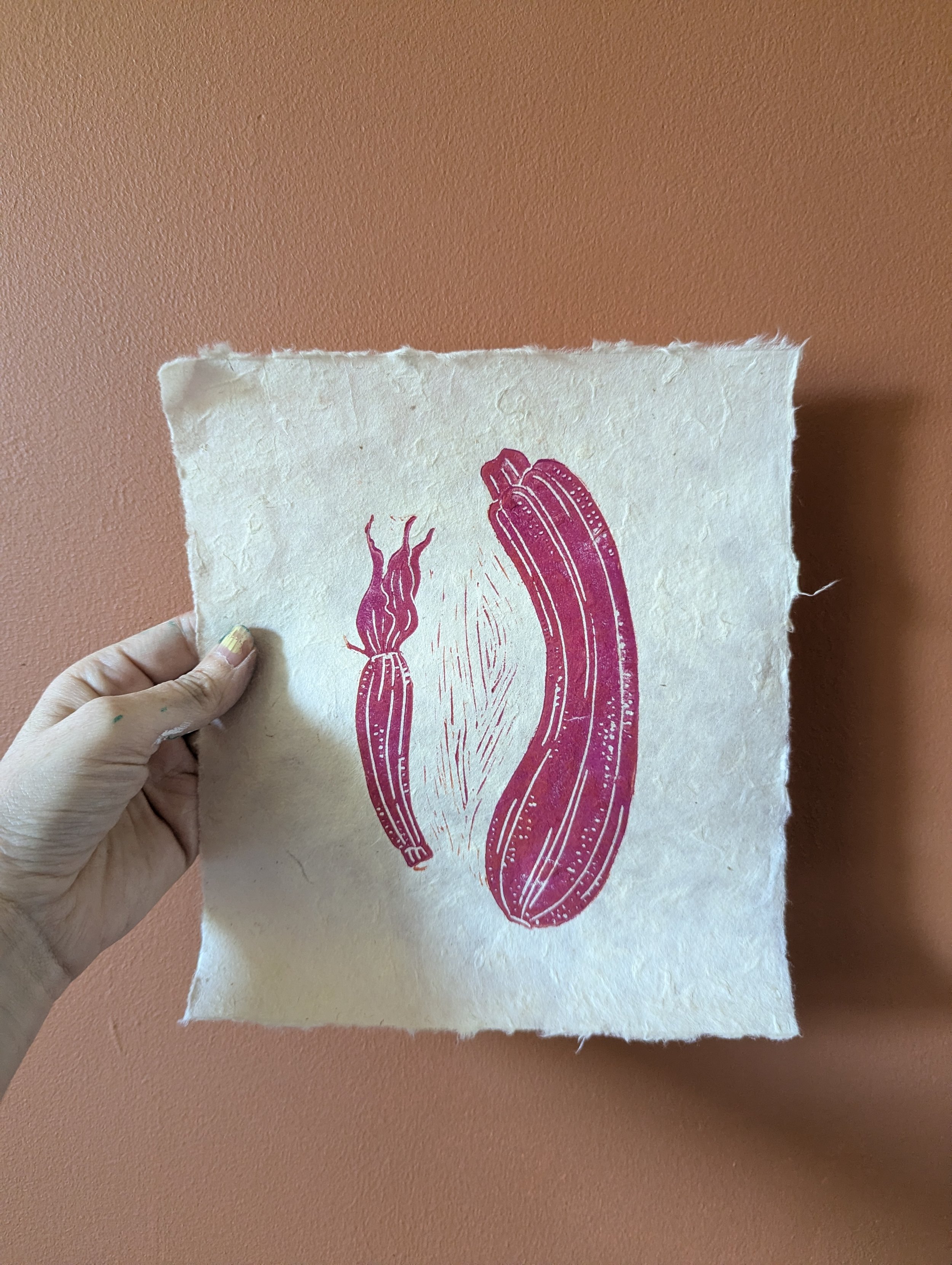 Pink Courgette- SALE