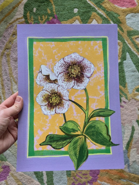 White+Hellebore+SALE+2.png