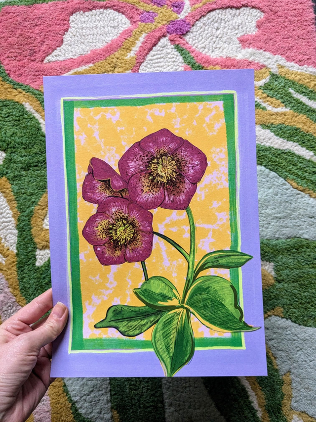 Burgundy Hellebore - SALE
