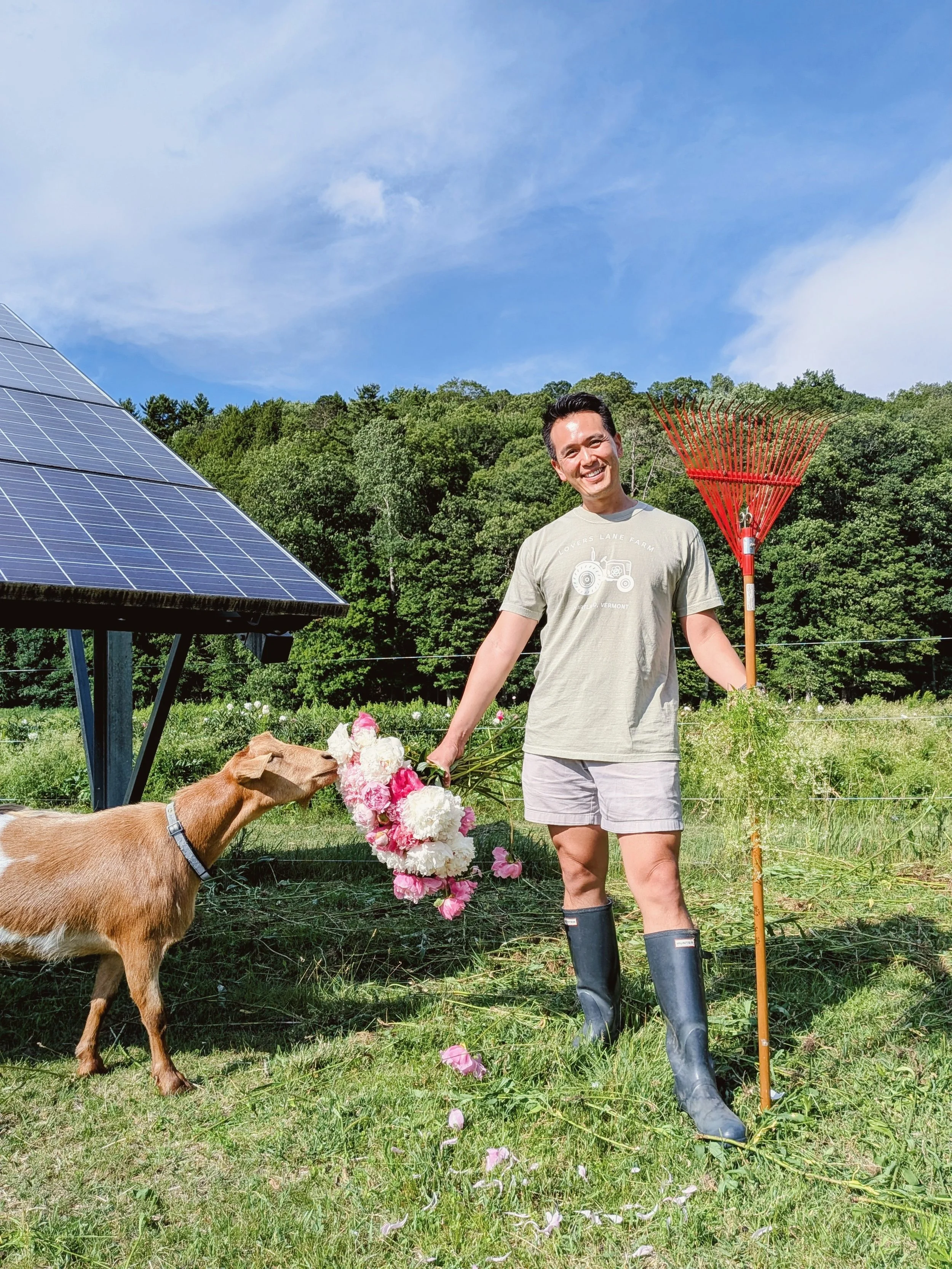 A man smiling in a field holding a bouquet of pink and white flowers, standing next to a goat, with a solar panel on the left, a red rake in the background, and green trees under a blue sky.