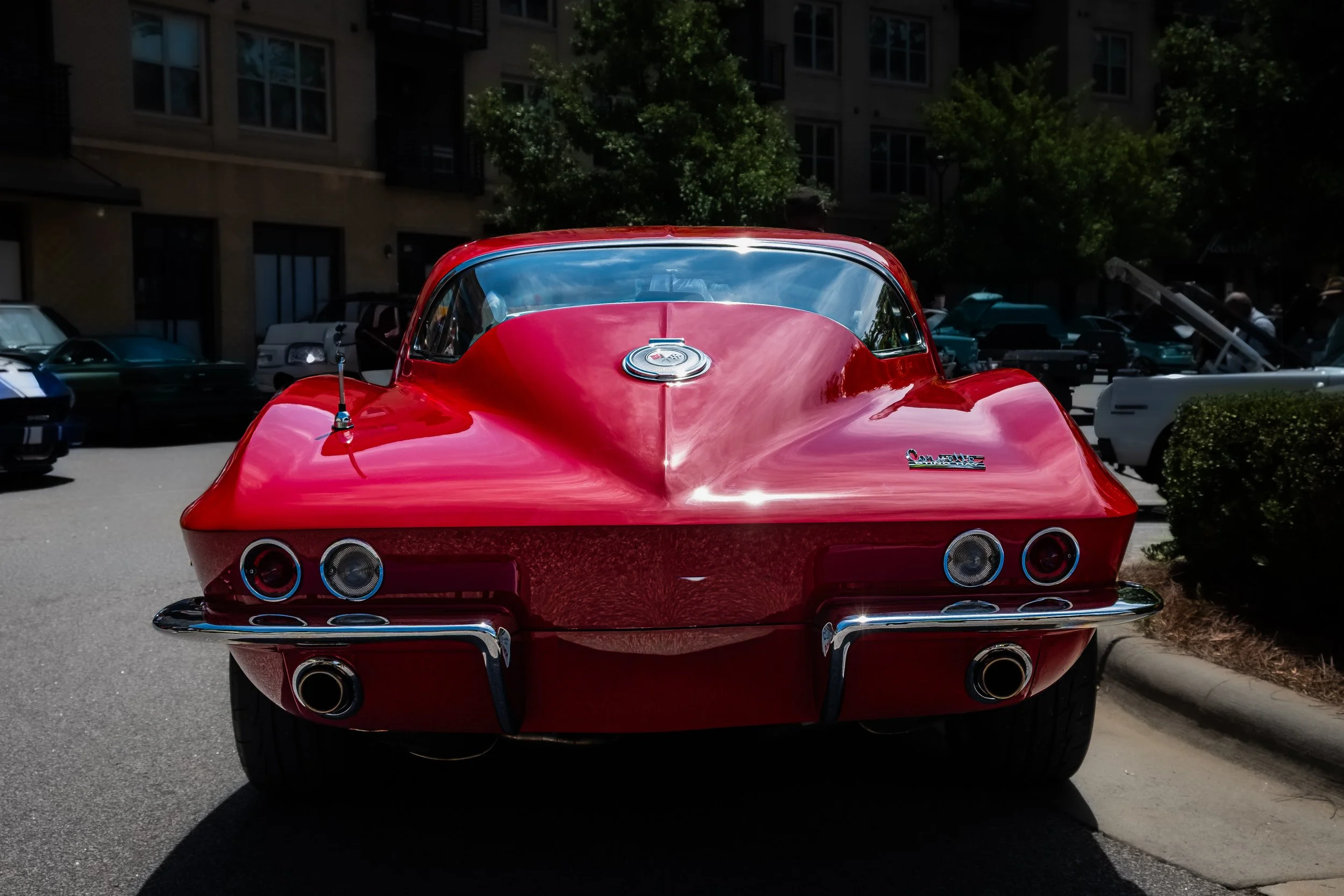 shotgun Stingray.jpg