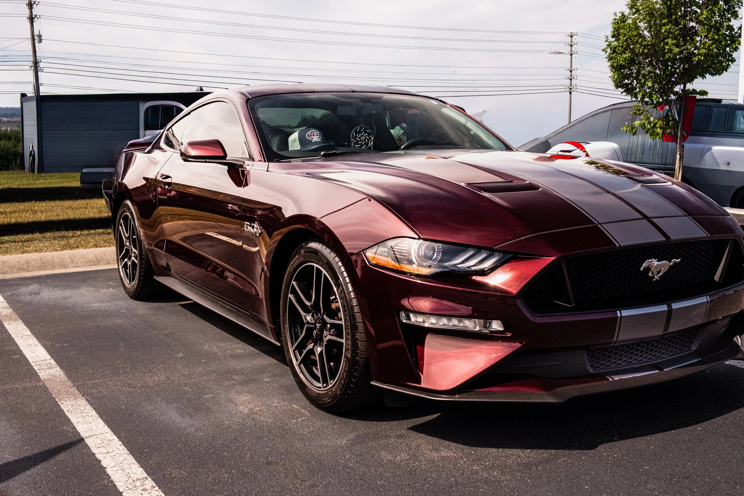 Shiny Mustang.jpg