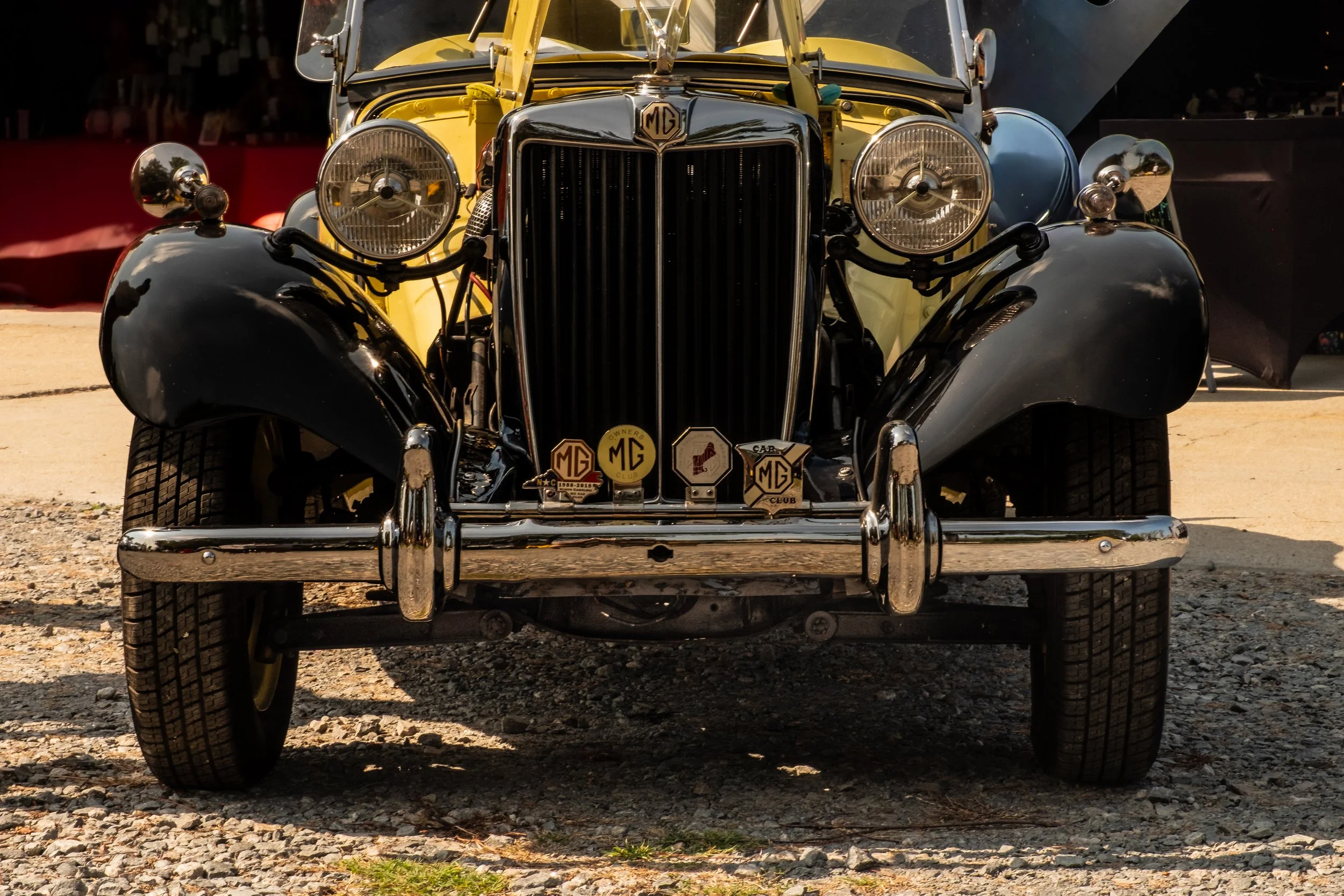 MG badged out.jpg