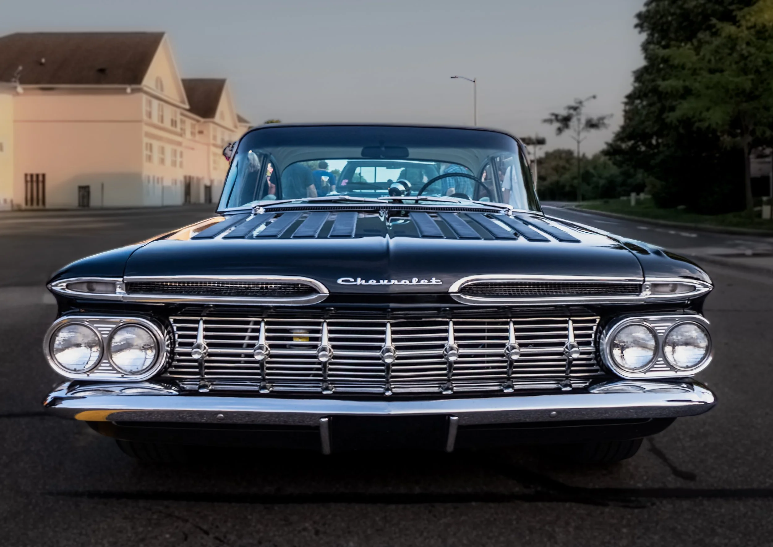 Black Beauty.jpg