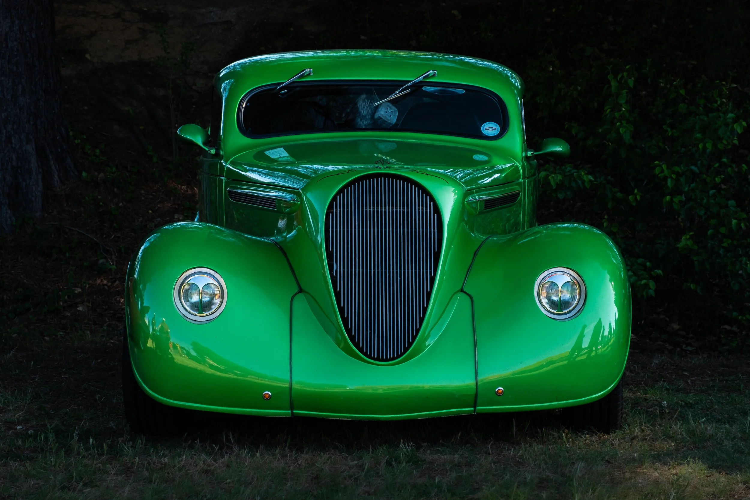 Green in the trees.jpg