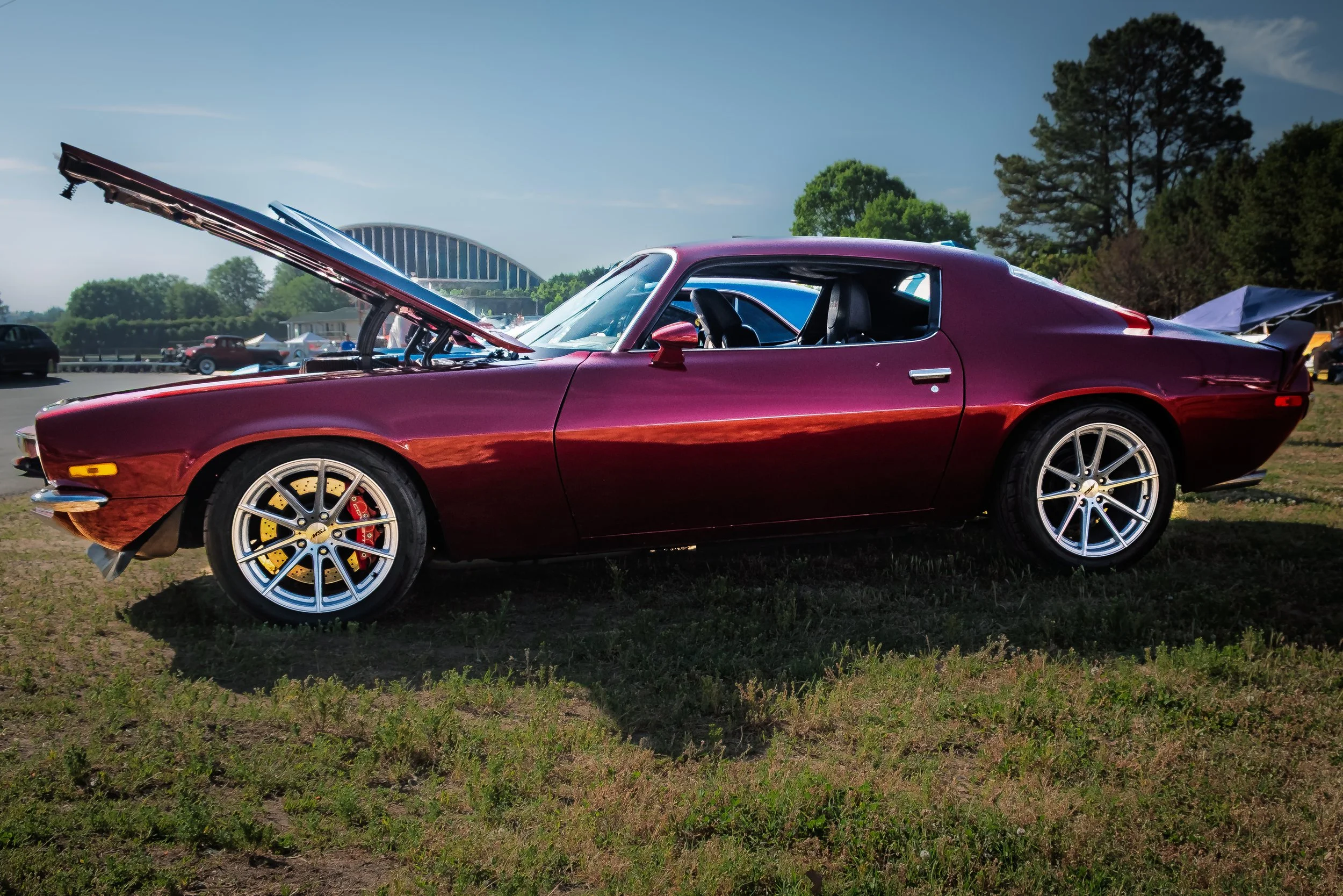 Camero.jpg