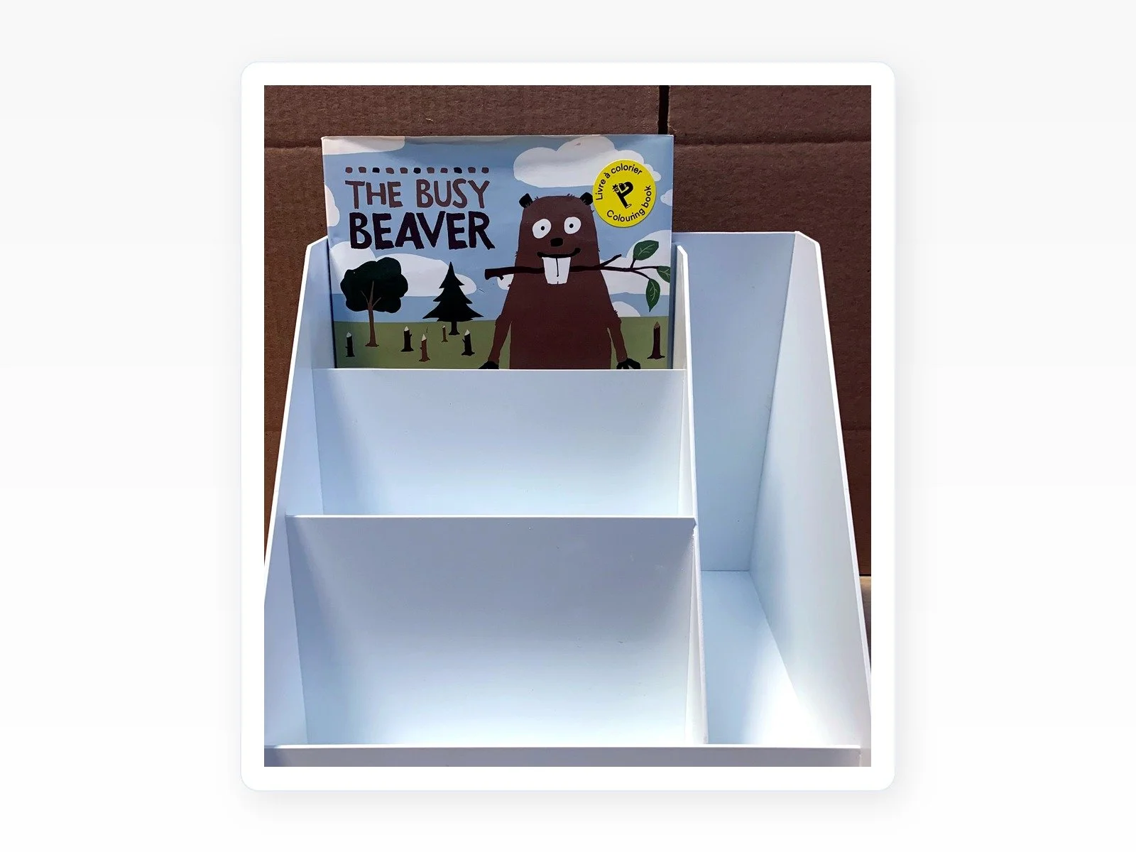 Book & Product Display