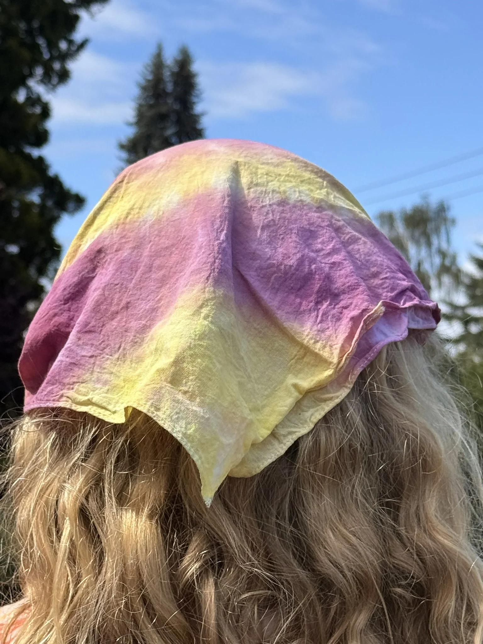 UW bullseye bandanna