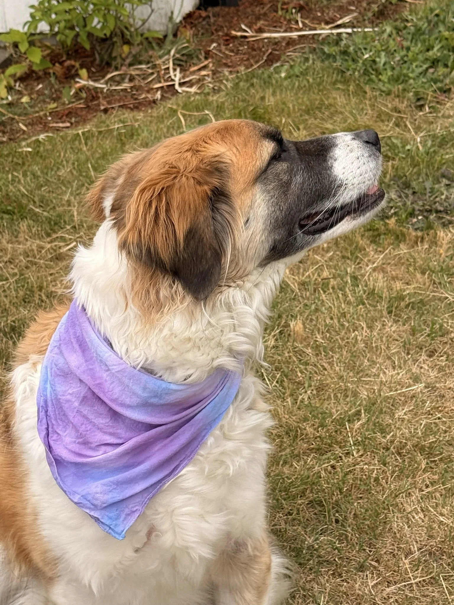 Aurora crumple bandanna