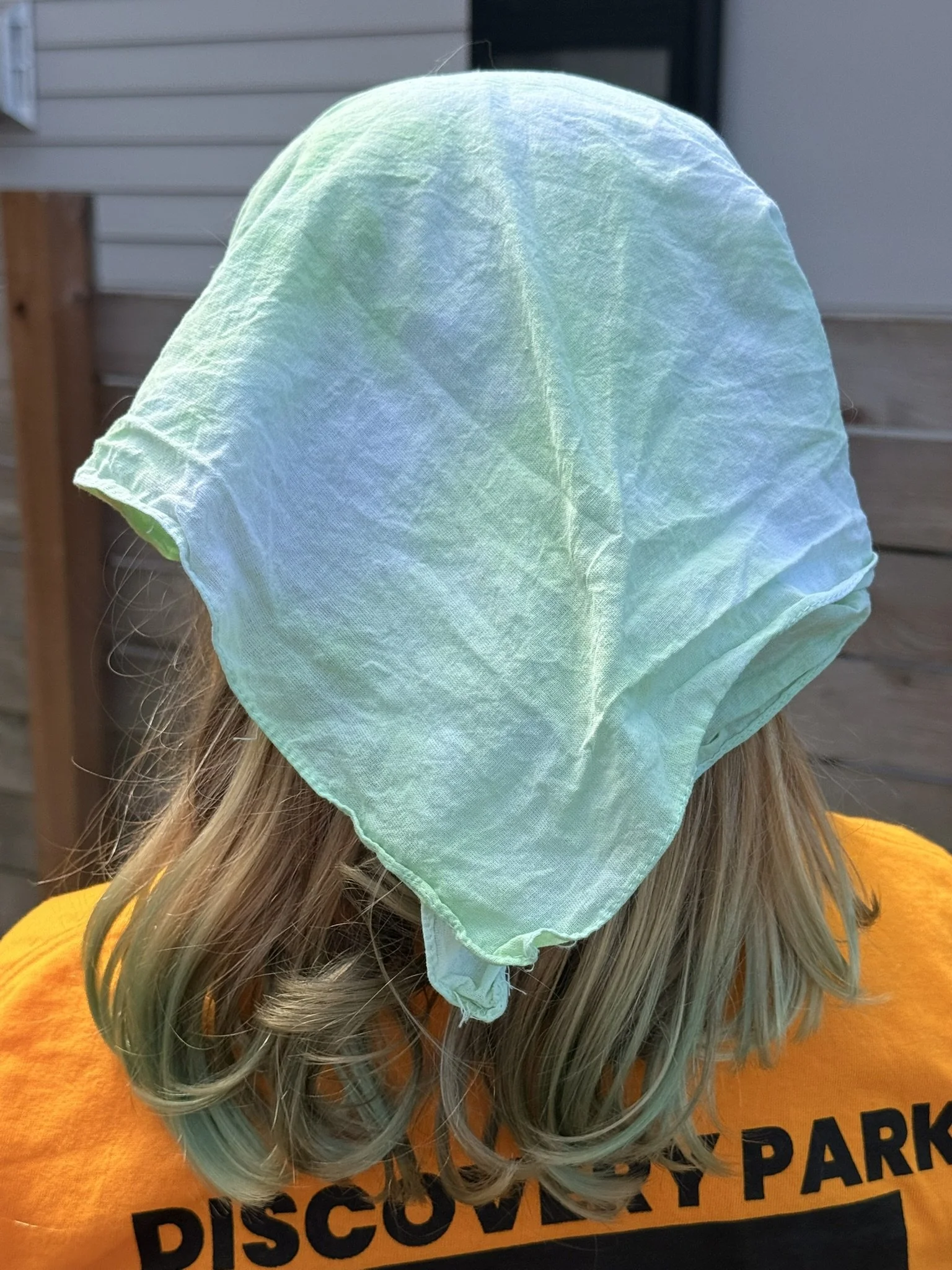 Mint crumple bandanna