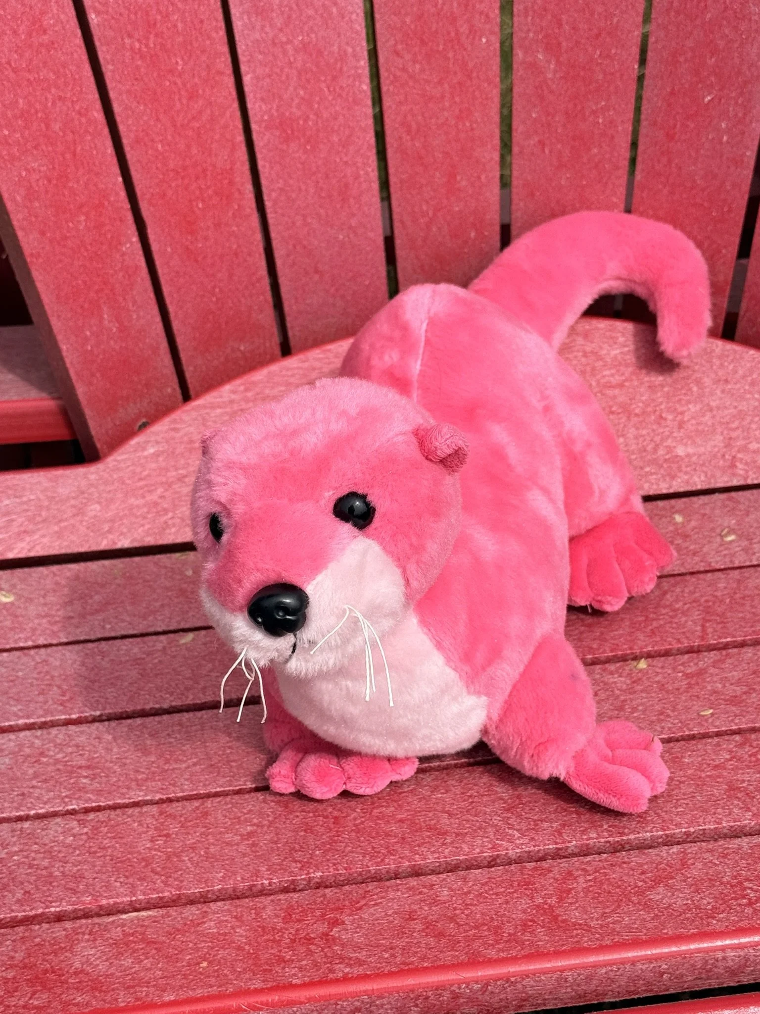 Pink otter