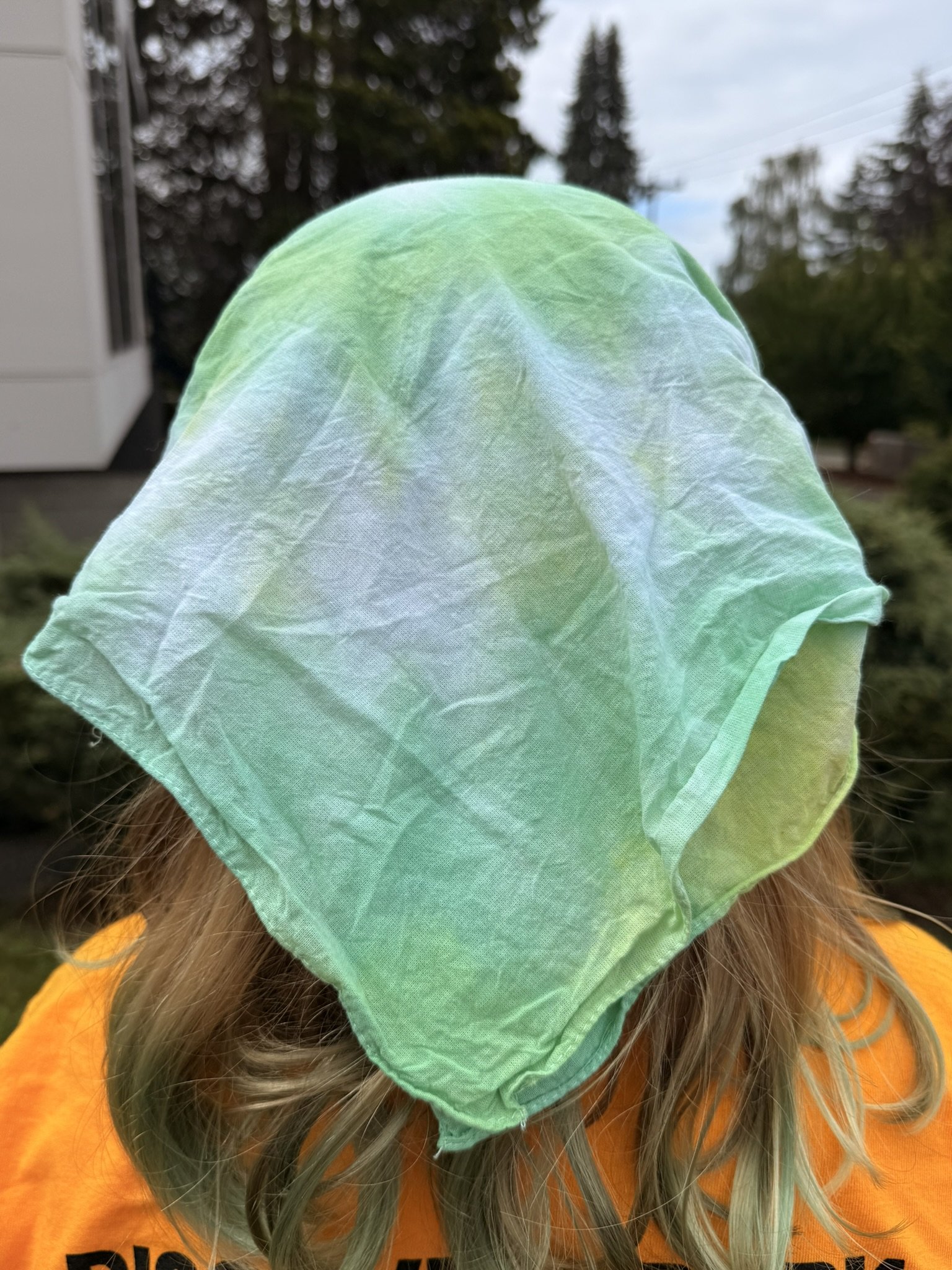 Forest swirl bandanna