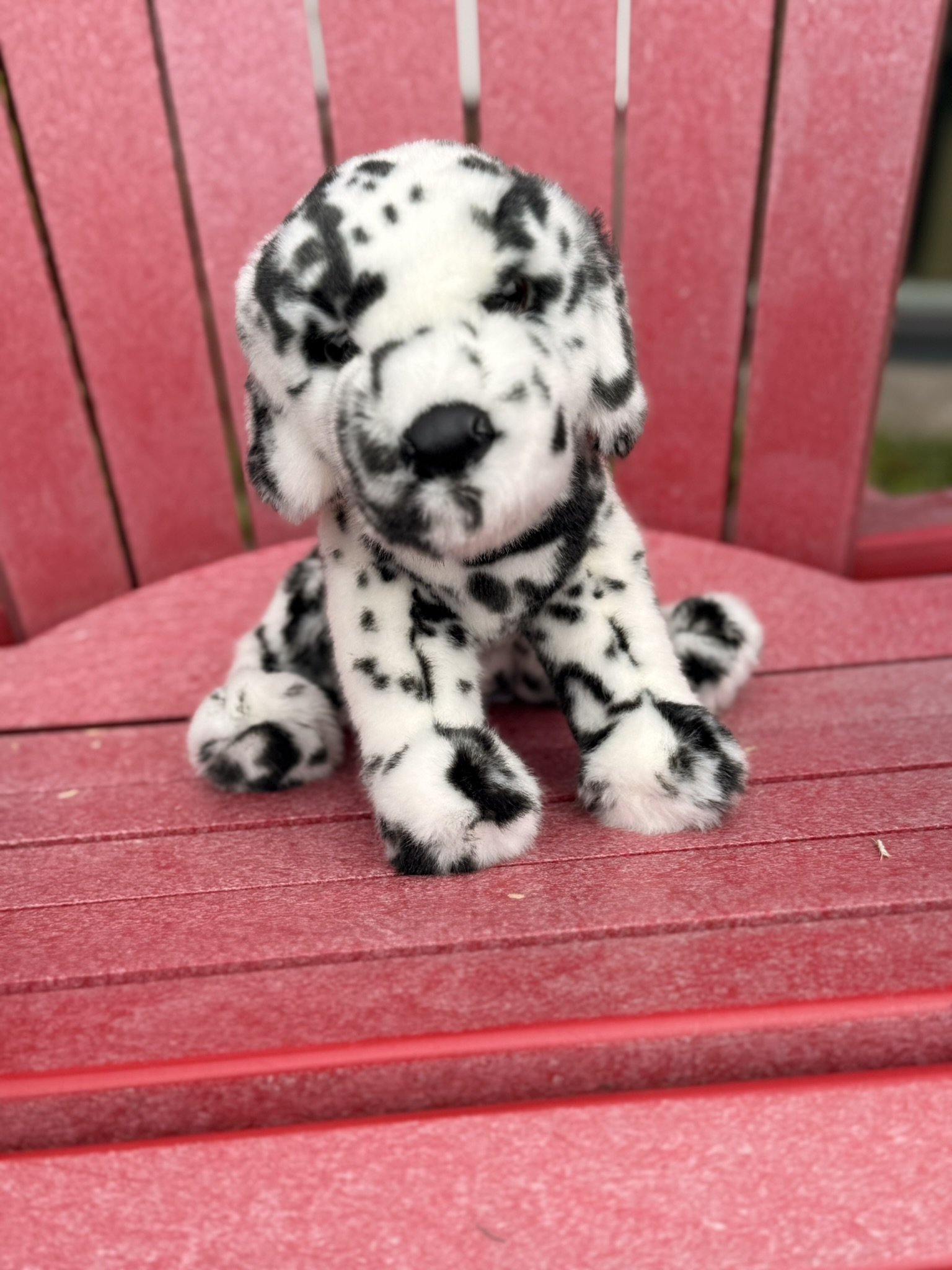Dalmatian