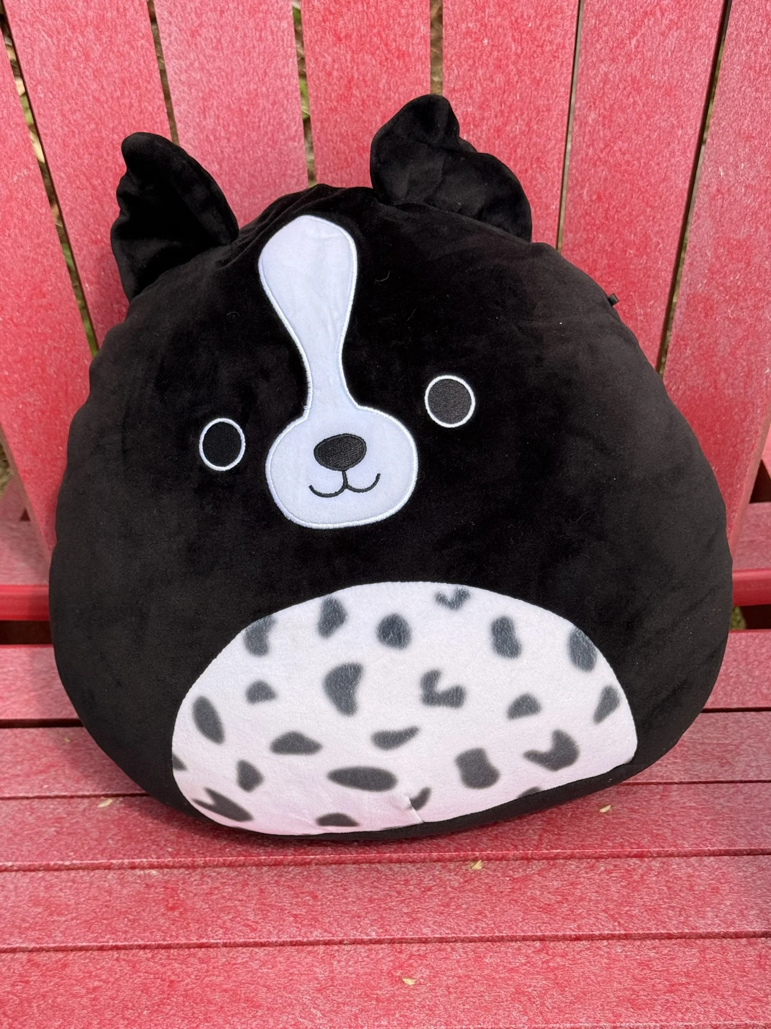 Black bulldog Squishmallow