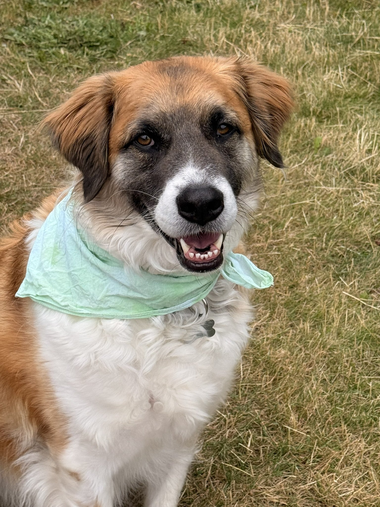 Mint crumple bandanna