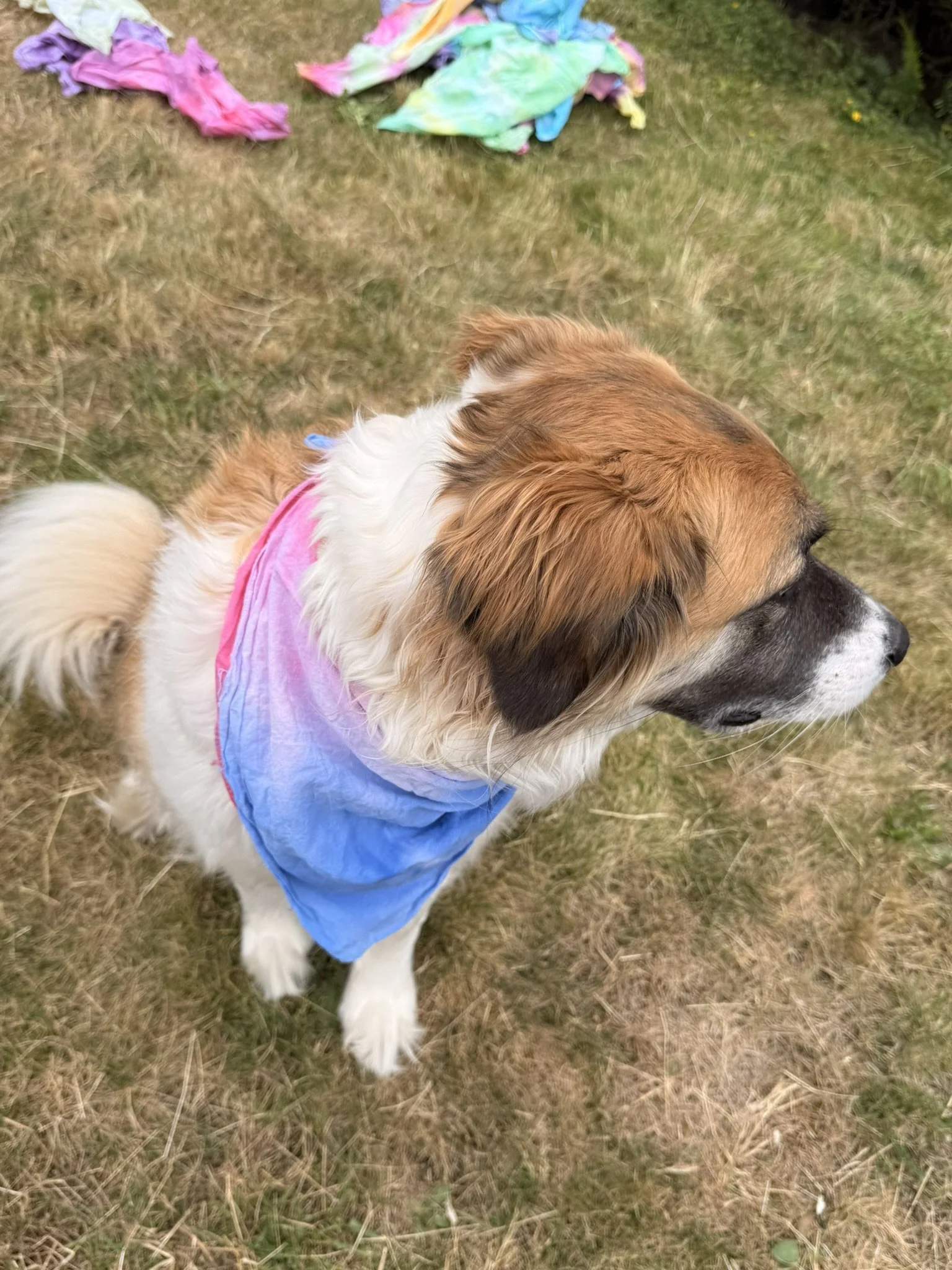 American flag stripe bandanna