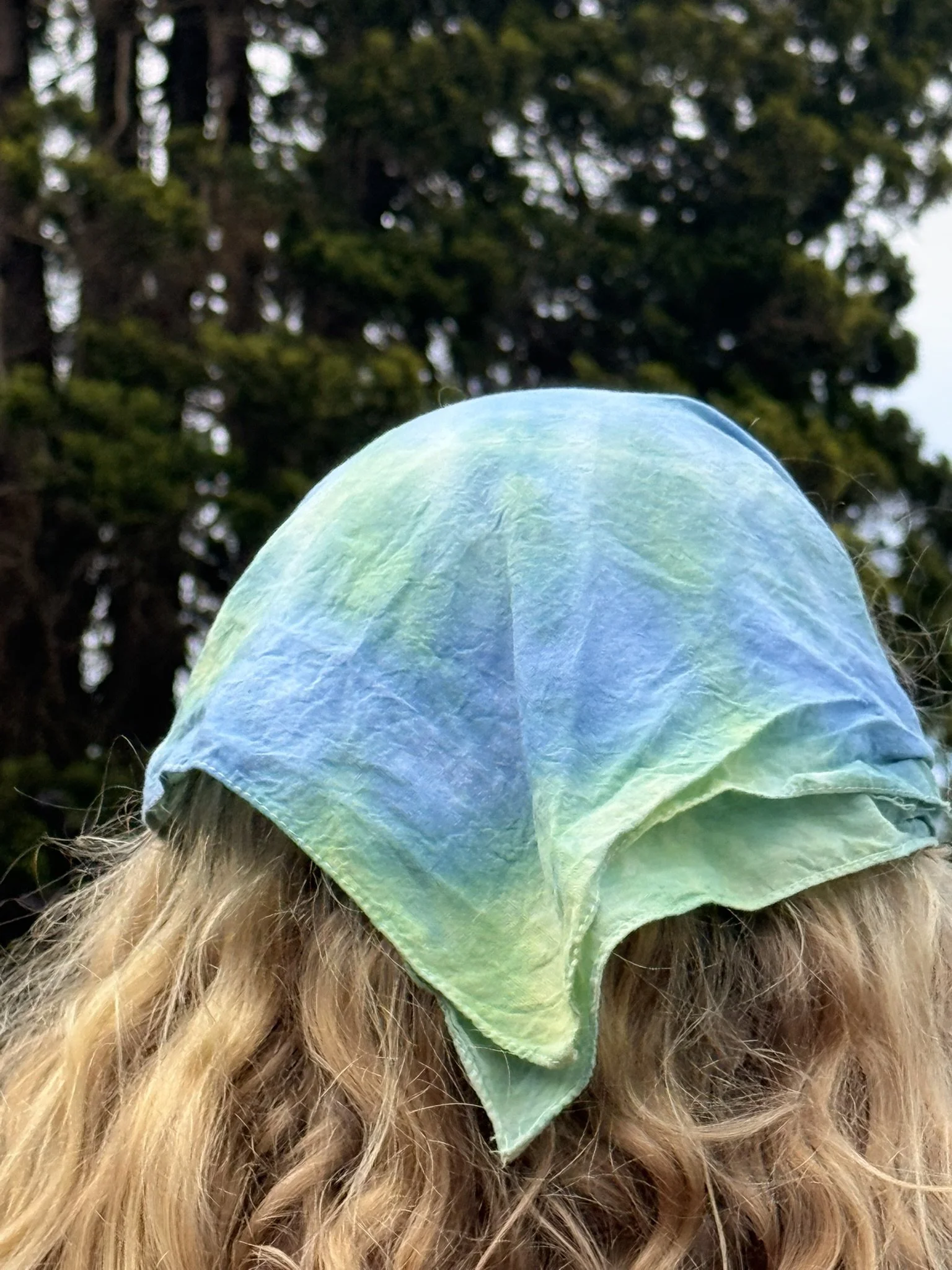 Seahawks swirl bandanna
