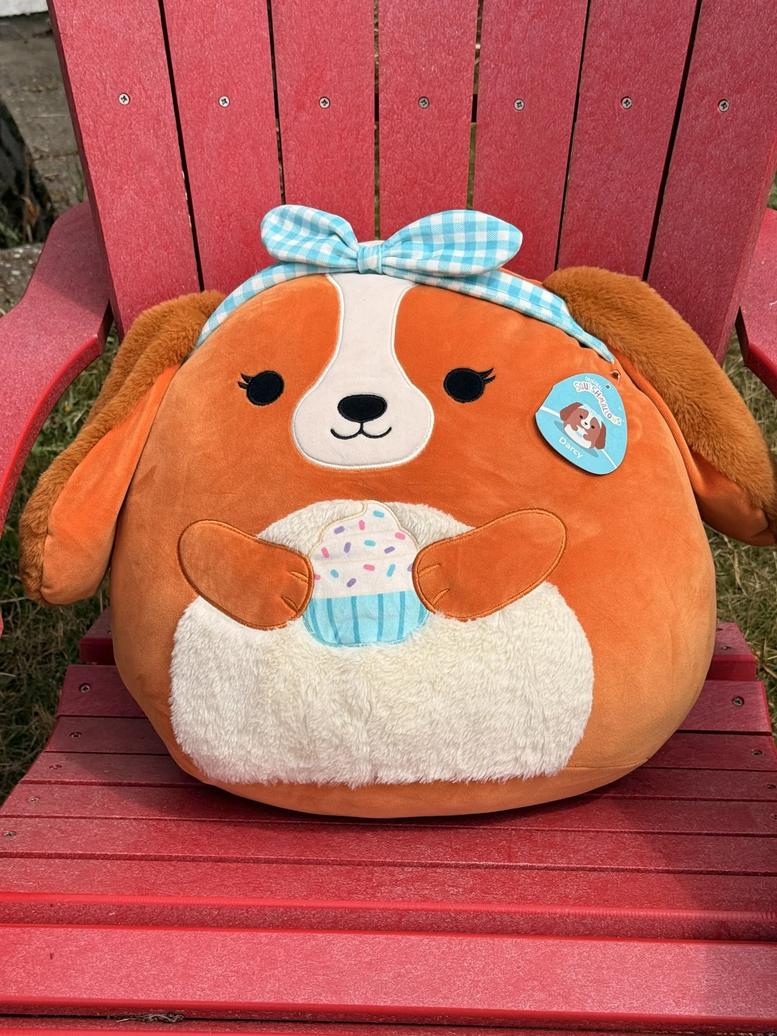 B-day dog Squishmallow