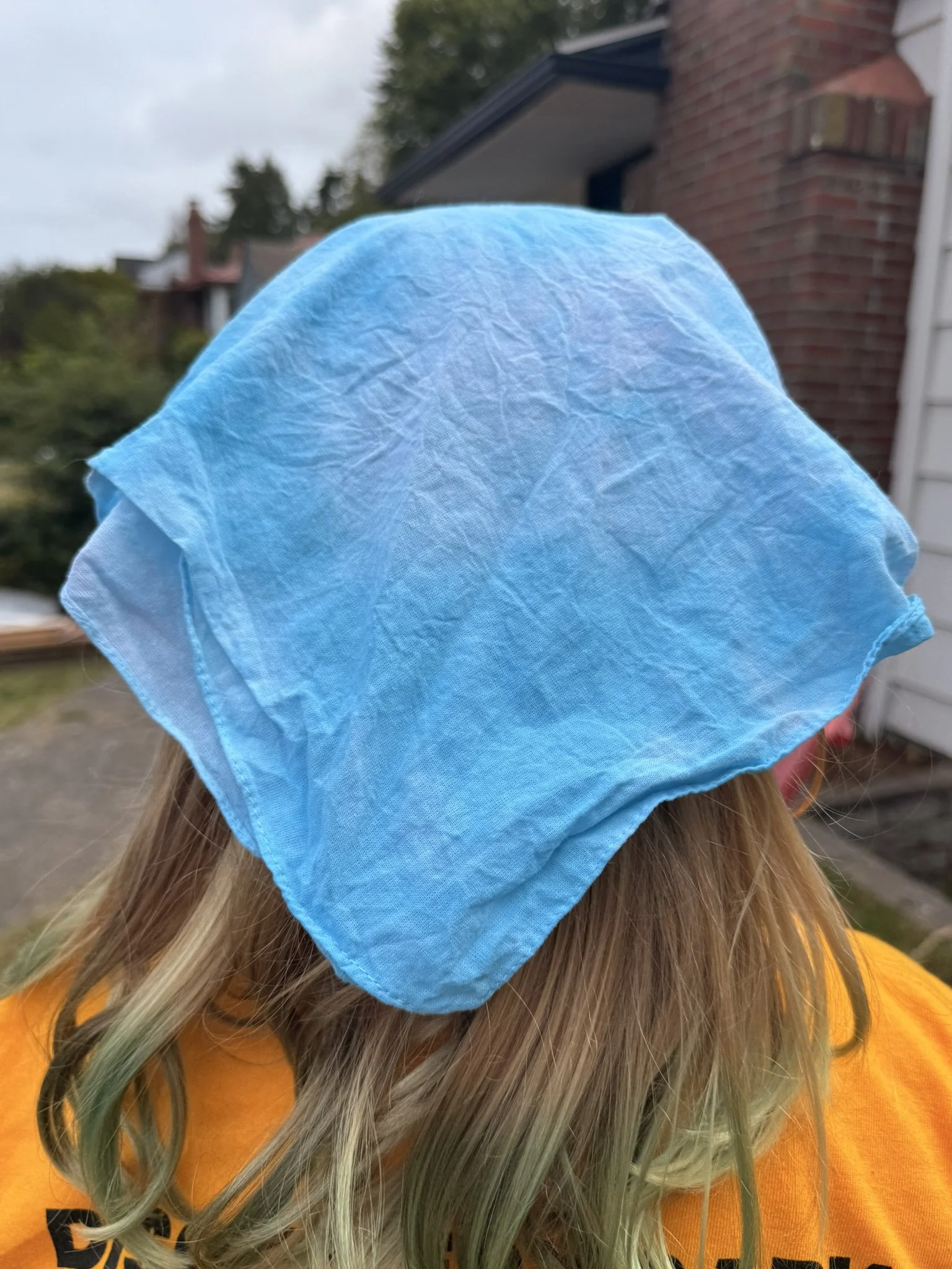 Blue rosette bandanna