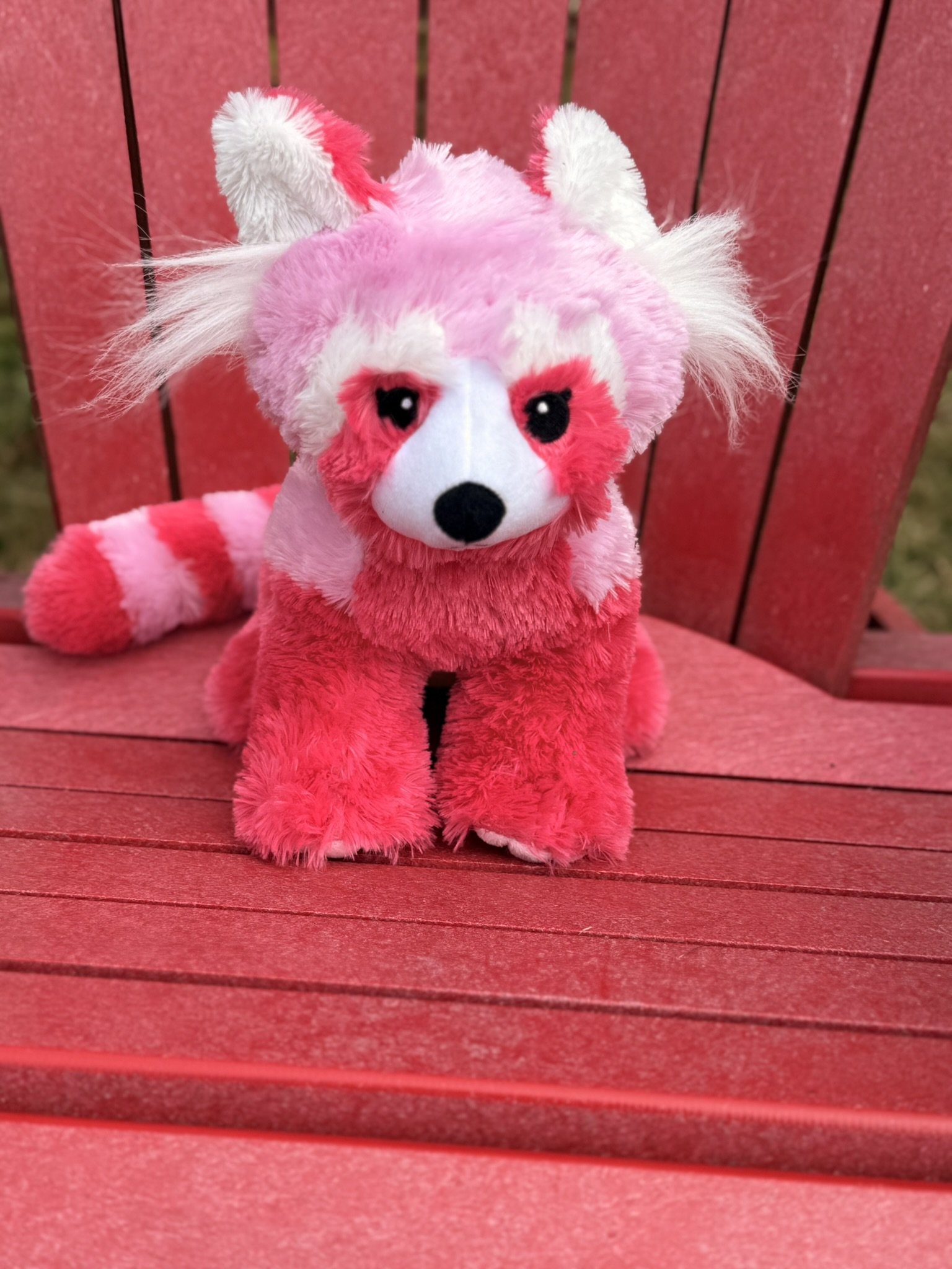 Pink red panda